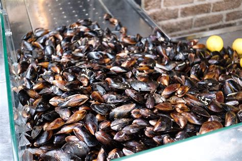 Exposición de mariscos frescos en el terminal