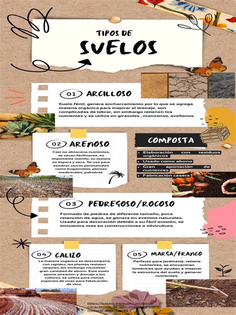 Infografía que muestra los ingredientes frescos, algas y aderezos típicos de las ensaladas japonesas
