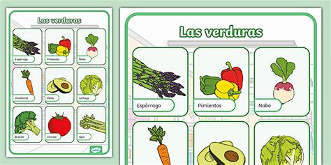 Ilustración de los diversos vegetales de hoja japoneses y sus características principales