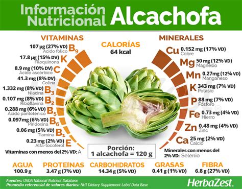 infografía sobre los beneficios nutricionales de la alcachofa y sus vitaminas