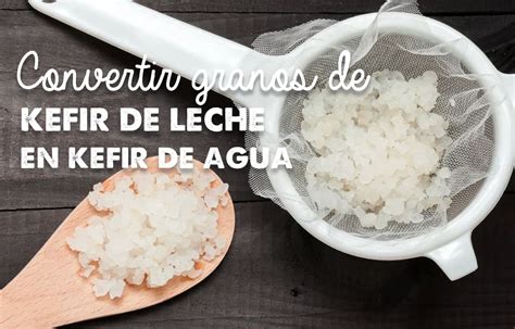 Comparativa visual de kéfir de leche y kéfir de agua, destacando sus texturas y colores.