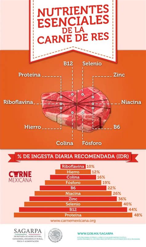 Infografía detallando los nutrientes clave de la carne y sus funciones en el desarrollo infantil.