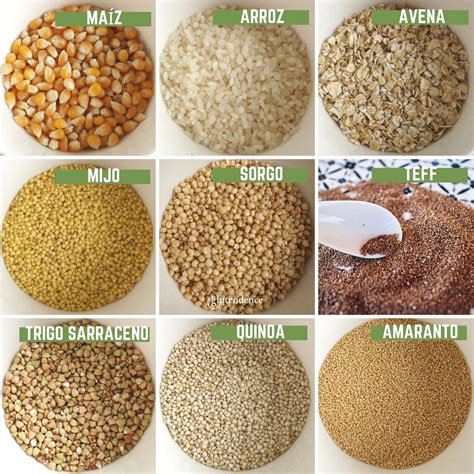 Infografía mostrando los diferentes tipos de sémola (trigo, arroz, avena, maíz) y sus usos principales.