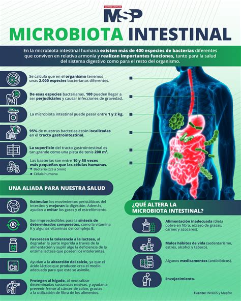 Infografía comparativa entre la microbiota de una persona con diabetes y una persona sana.