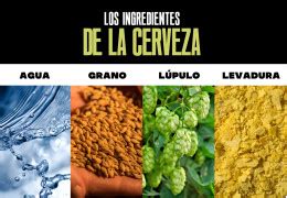Infografía detallada sobre los componentes nutricionales de la cerveza: agua, lúpulo, malta y levadura.