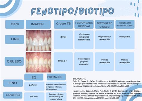 Infografía: Tipos de grano de cuscús (fino vs grueso) y sus usos culinarios principales.