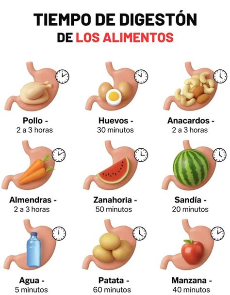Gráfico que ilustra la digestión de alimentos y los puntos donde se pueden generar gases