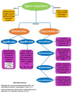 Esquema lingüístico que muestra la evolución y variantes regionales del término pichula en el español americano y su relación con raíces etimológicas.