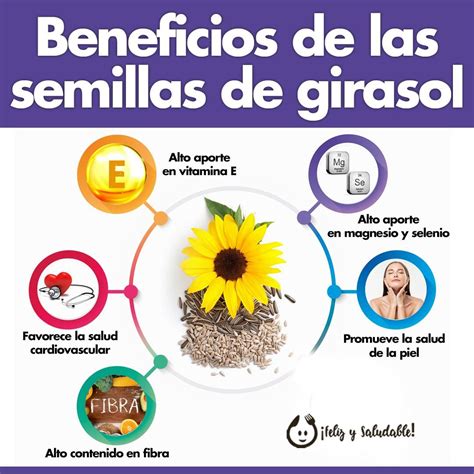 Infografía detallando los beneficios de las semillas de girasol para la salud (cardiovascular, cerebral, ósea, etc.).