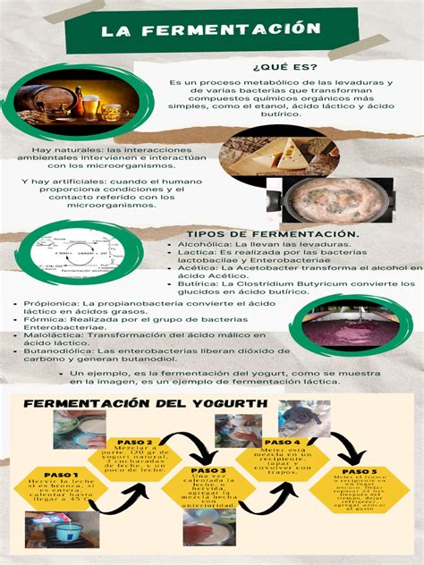 Infografía comparativa: Levadura (fermentación, tiempo, microorganismos vivos) vs. Polvo para hornear (reacción química, rápido, sin vida).