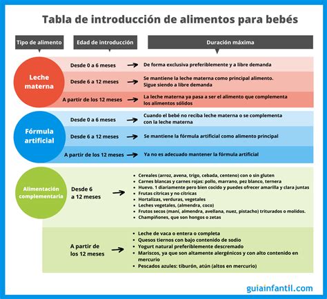 infografía con la progresión de alimentos para bebés de 6 a 24 meses