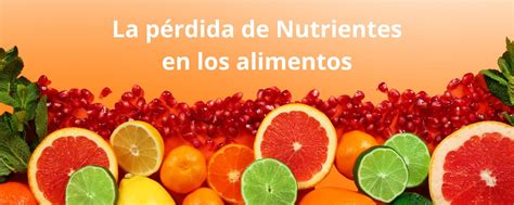 Infografía comparativa: Niveles de pérdida de nutrientes y temperatura óptima según el método de cocción (vapor, hervido, frito, horneado).