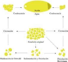 Infografía que ilustra el proceso de coalescencia de gotas de aceite en una emulsión.