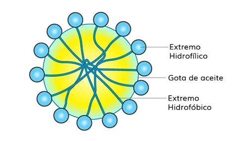 Diagrama que muestra la estructura molecular de un emulsionante y su posición en la interfaz aceite-agua.