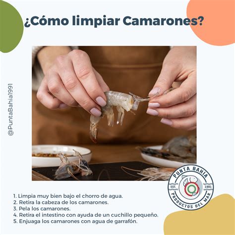 Infografía: pasos para limpiar camarones y quitar el intestino