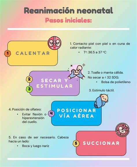 Infografía detallando los pasos iniciales de batido de la crema de queso y la mezcla de mantequilla con azúcar glas.