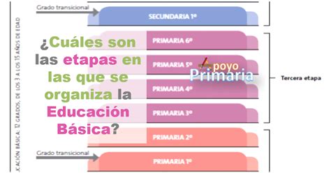 Esquema de los niveles educativos (Parvularia, Básica 1º Ciclo, Básica 2º Ciclo) en un colegio.