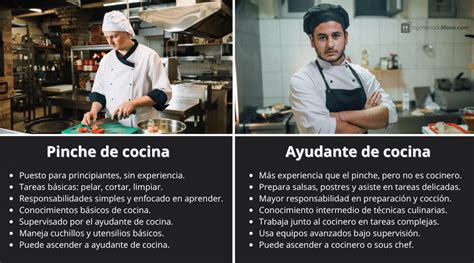 Esquema de progresión de la habilidad de cocina: desde pinche hasta chef de cinco estrellas