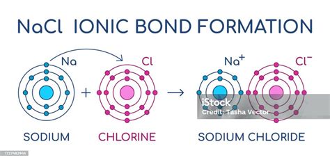 Esquema explicativo de cómo los iones de sodio y cloruro interfieren en la formación de la red cristalina del hielo