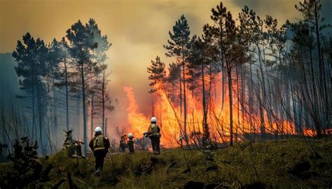 Imagen de una casa dañada por un incendio forestal y una persona revisando documentos de seguro.