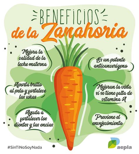 infografía sobre los beneficios nutricionales de la zanahoria para la gestante (hierro, vitamina A, fibra)