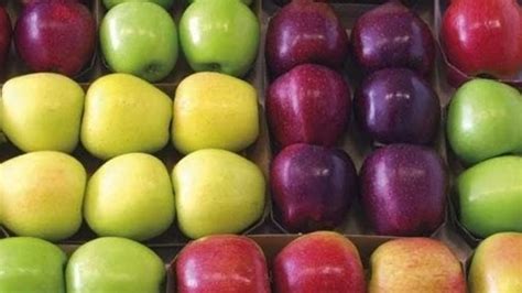 Cesto con diversas variedades de manzanas rojas