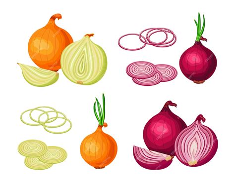 Ilustración de cebollas frescas y cebollas deshidratadas en frascos