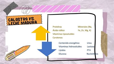 Esquema comparativo de los componentes nutricionales del calostro frente a la leche madura