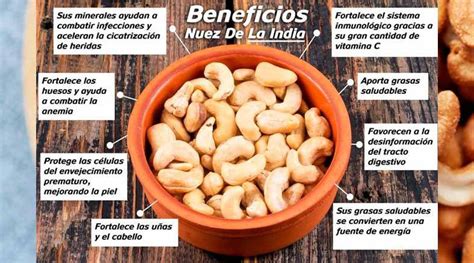 Esquema de los componentes tóxicos de la Nuez de la India