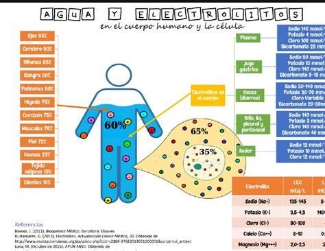 Gráfico comparativo de electrolitos en el cuerpo