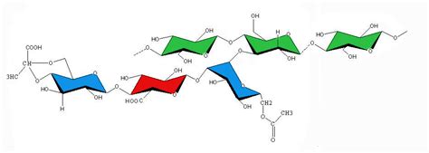 Ilustración de la estructura molecular de la goma xantana