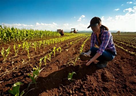 Infografía con los pasos clave de la preparación del budín de pan