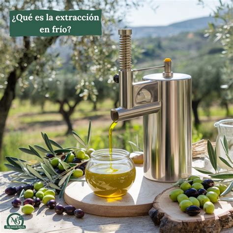 Infografía comparativa: métodos de extracción en frío vs. métodos rápidos para cafeterías