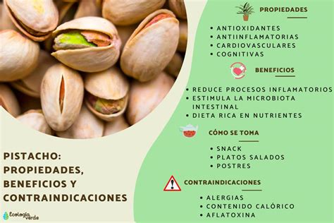 Infografía sobre las propiedades nutricionales del pistacho: proteínas, fibras, grasas saludables y antioxidantes