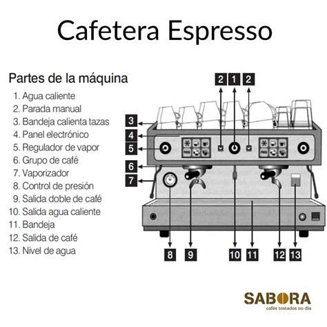 Esquema de las partes principales de una cafetera Nespresso: tanque de agua, compartimento de cápsulas, botones de preparación