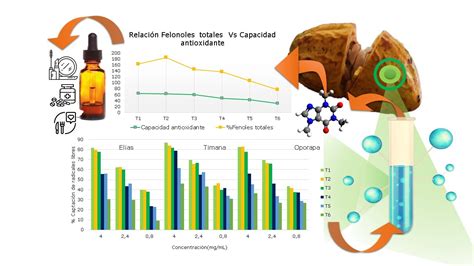 infografía sobre la capacidad antioxidante comparativa del cacao frente a otras superfrutas