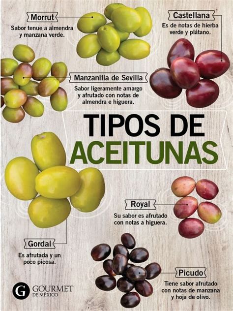 Esquema visual de diferentes tipos de aceitunas: manzanilla, gordal, hojiblanca y negras para identificar variedades aptas para freír.