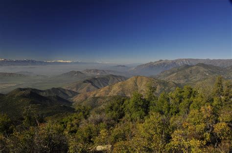 Fotografía del bosque esclerófilo en el valle del Manzano y los cruces del estero