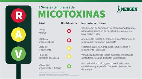 Infografía sobre los tipos de moho y micotoxinas que pueden afectar a las nueces y sus riesgos para la salud.