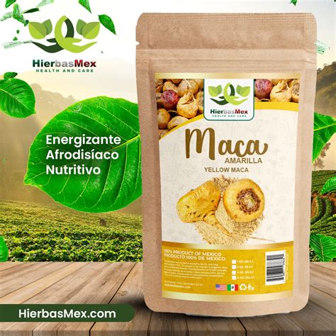 Raíz de maca amarilla en su entorno natural andino.