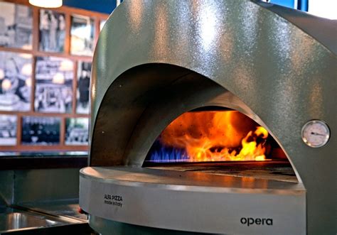 Ilustración de un horno de pizza profesional con llamas.