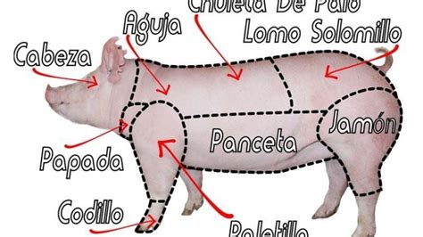 Esquema de los cortes principales del cerdo