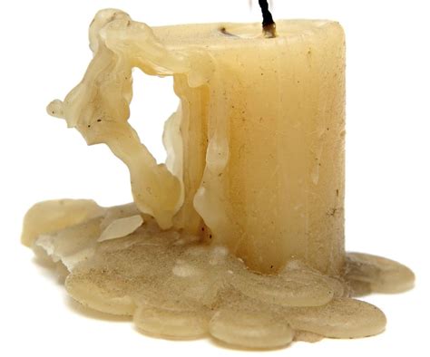 Diagrama que explica cómo la capa de cera epicuticular dispersa la luz, generando el color azul en los arándanos.