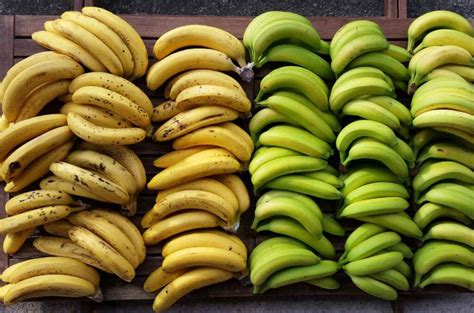 Infografía comparativa entre bananos y plátanos, destacando sus diferencias en tamaño, color y métodos de consumo.