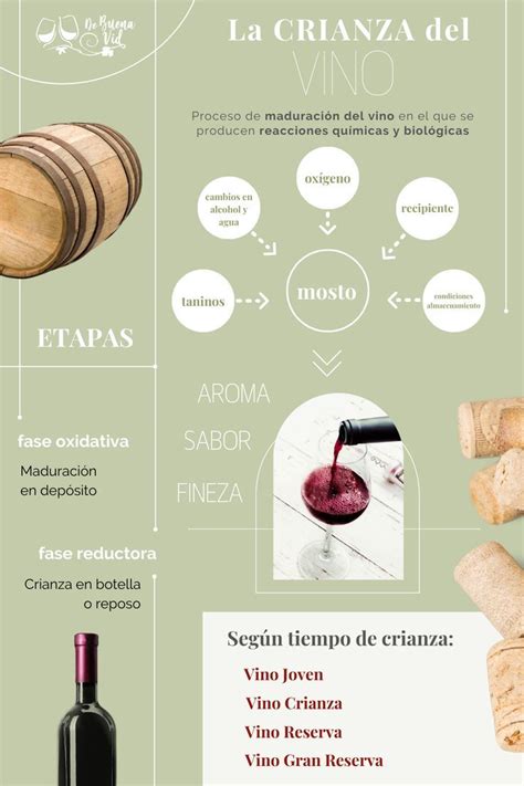 Infografía: Usos del vino congelado en cubitos y vinos no aptos para congelación