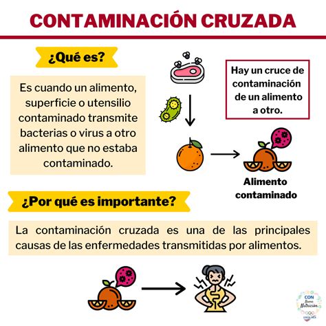 Esquema de las fuentes de contaminación cruzada en una planta de procesamiento de alimentos.