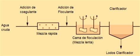 Esquema de las diferencias entre el proceso de clarificación de vino tradicional y vegano