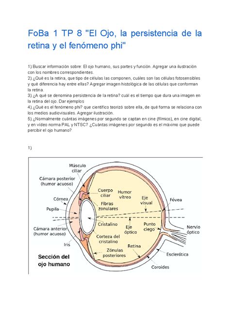 Esquema infográfico que explica el fenómeno de la persistencia retiniana y cómo el ojo humano conecta fotogramas individuales para crear movimiento