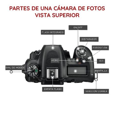 Diagrama técnico del interior de una cámara de cine mostrando el chasis, los bucles de la película y el sistema de arrastre por garfios