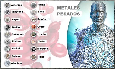 infografía sobre la interacción del selenio con metales pesados en el pescado.